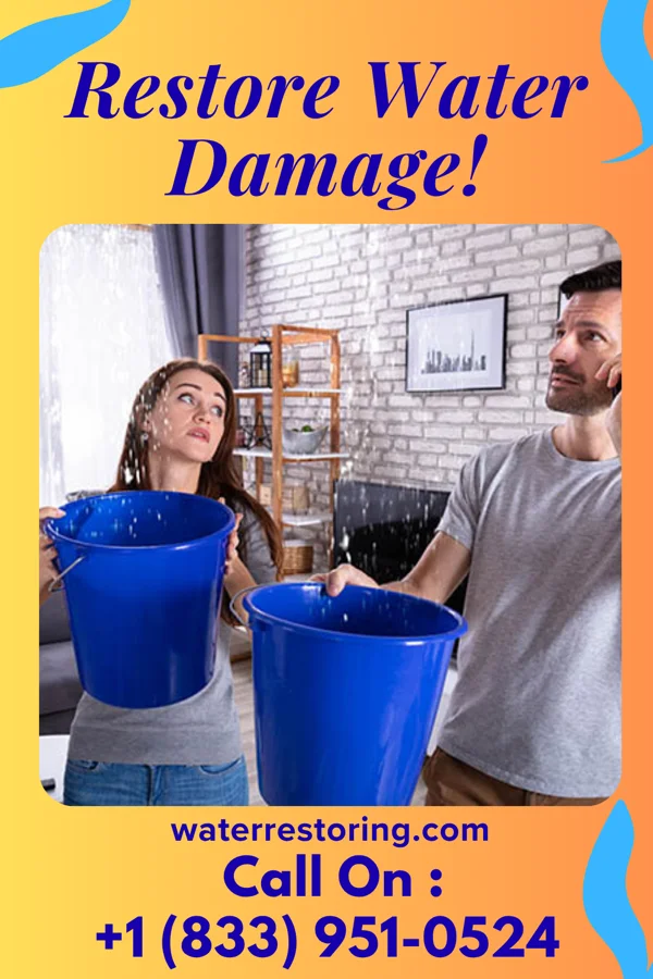 water restoration Eco Storm Damage Services Park Forest Village