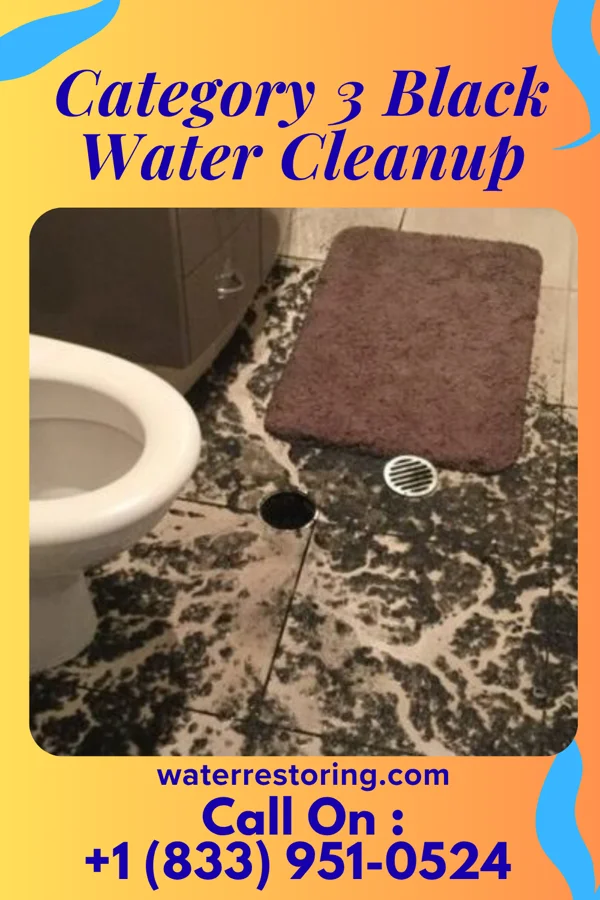 Category 3 Black Water Cleanup in Park Forest Village, PA