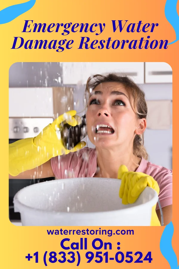 Emergency Water Damage Restoration in Park Forest Village, PA