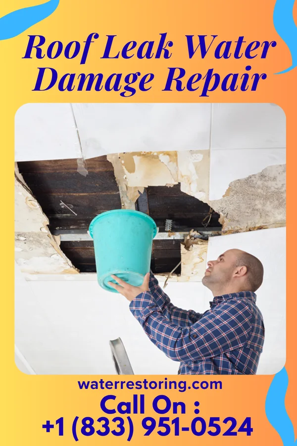 Roof Leak Water Damage Repair in Park Forest Village, PA