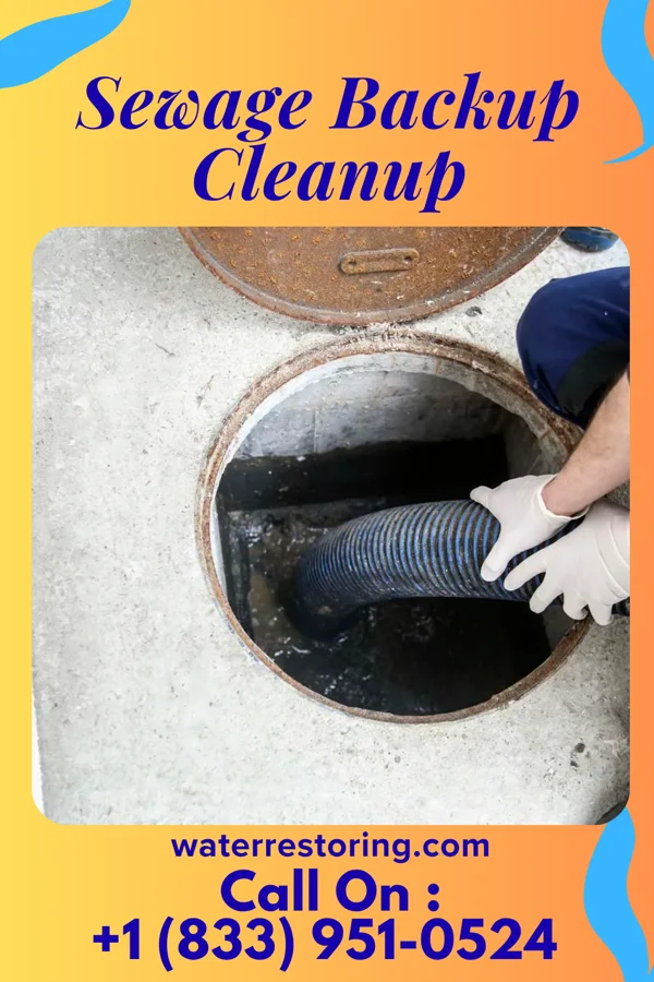 Sewage Backup Cleanup in Park Forest Village, PA