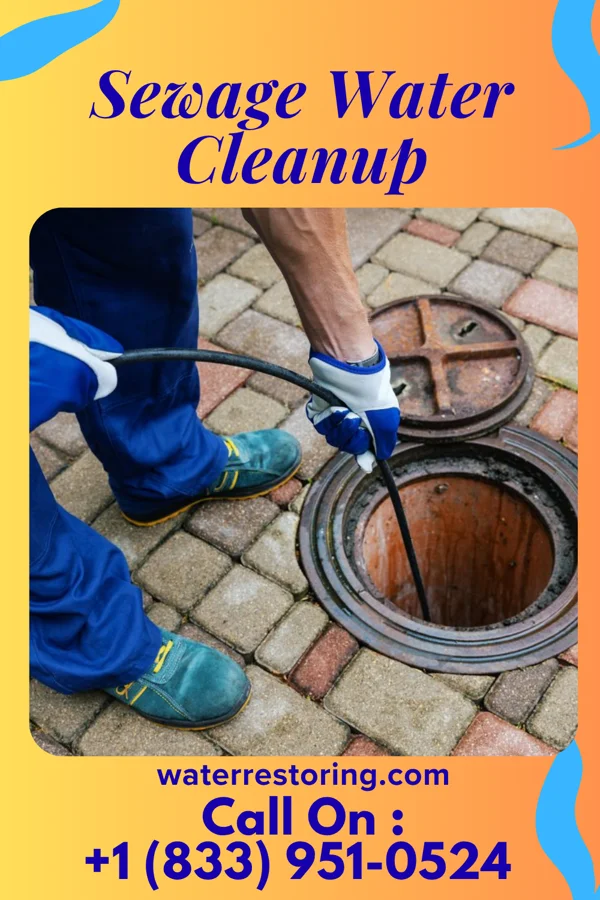 Sewage Water Cleanup in Park Forest Village, PA