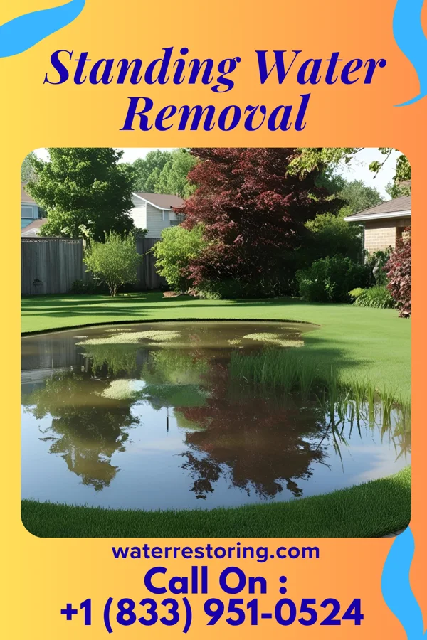 Standing Water Removal in Park Forest Village, PA